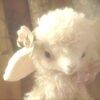 lazylambs